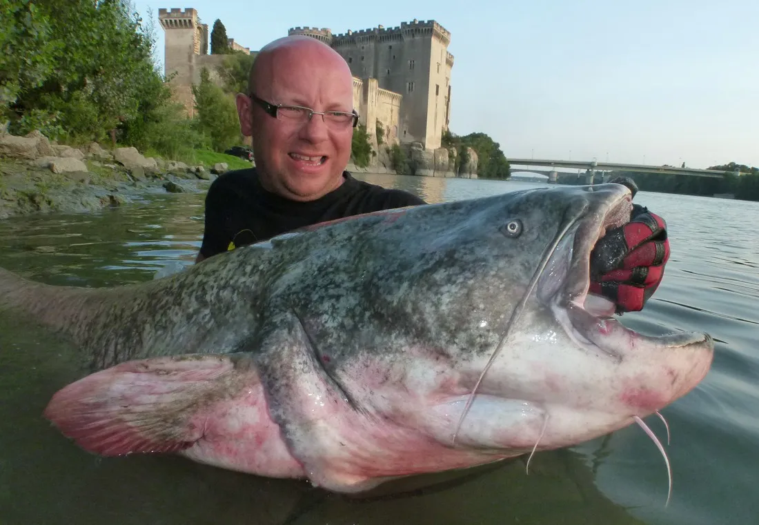 tartarin-tarascon-sur-rhone-e8sfh