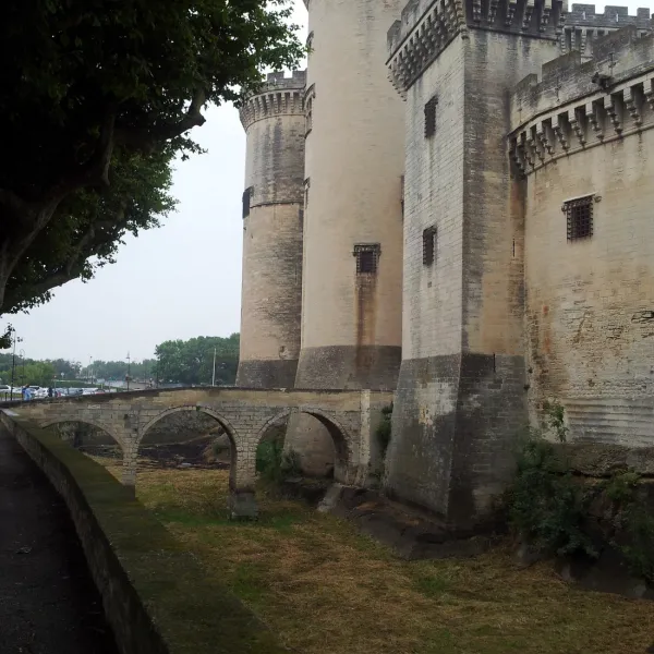tartarin-tarascon-sur-rhone-p3bpg