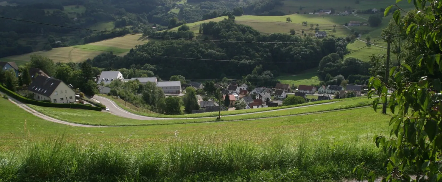 Municipal Lefebure