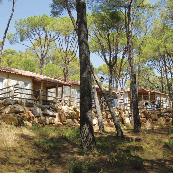 internacional-de-calonge-playa-daro-platja-daro-castell-daro-gqspj