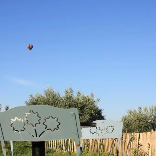 les-olivettes-little-carpe-diem-les-meacutees-t6ypq