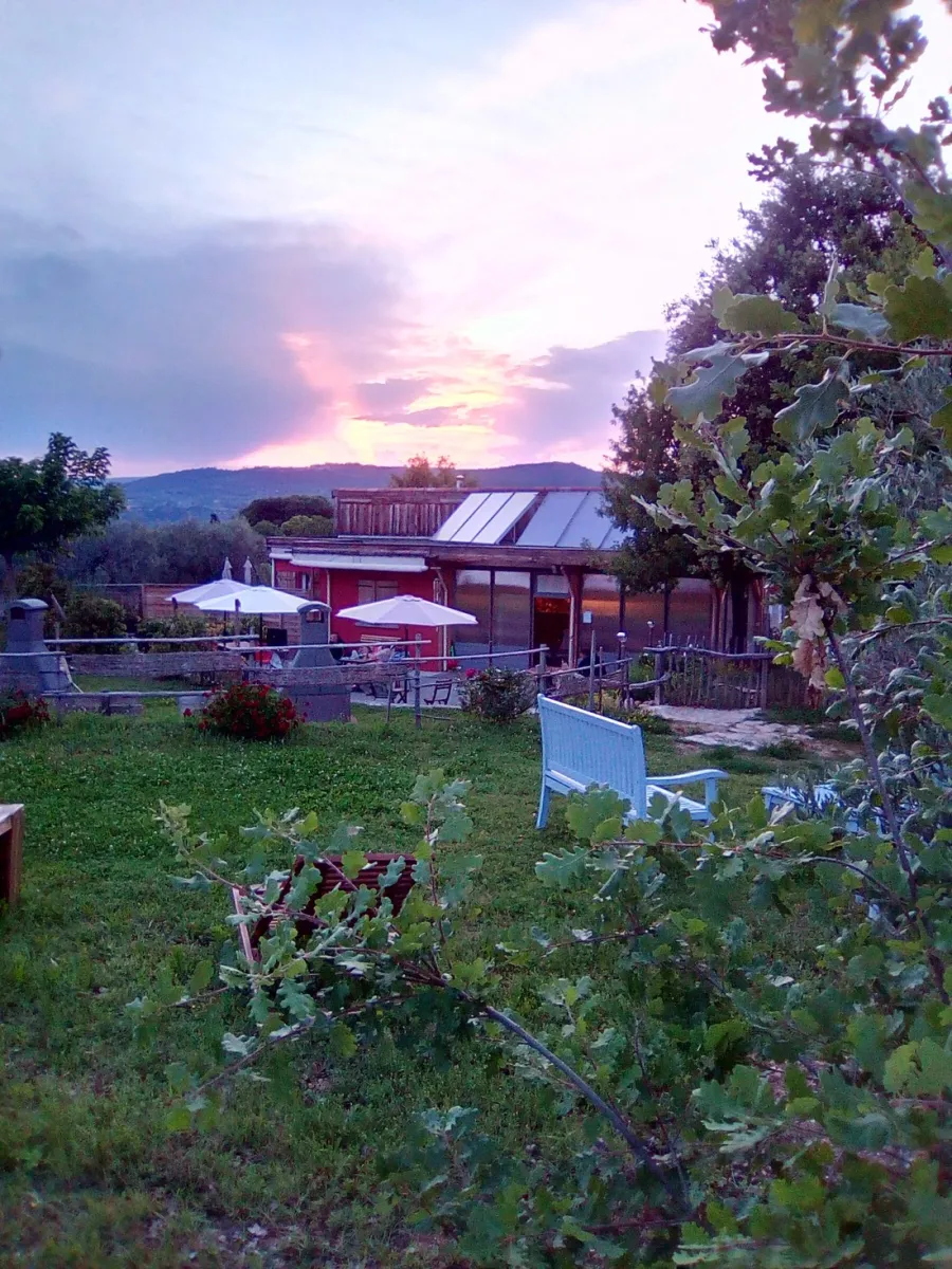 les-olivettes-little-carpe-diem-les-meacutees-vxazi