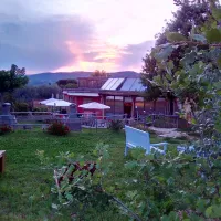 les-olivettes-little-carpe-diem-les-meacutees-vxazi