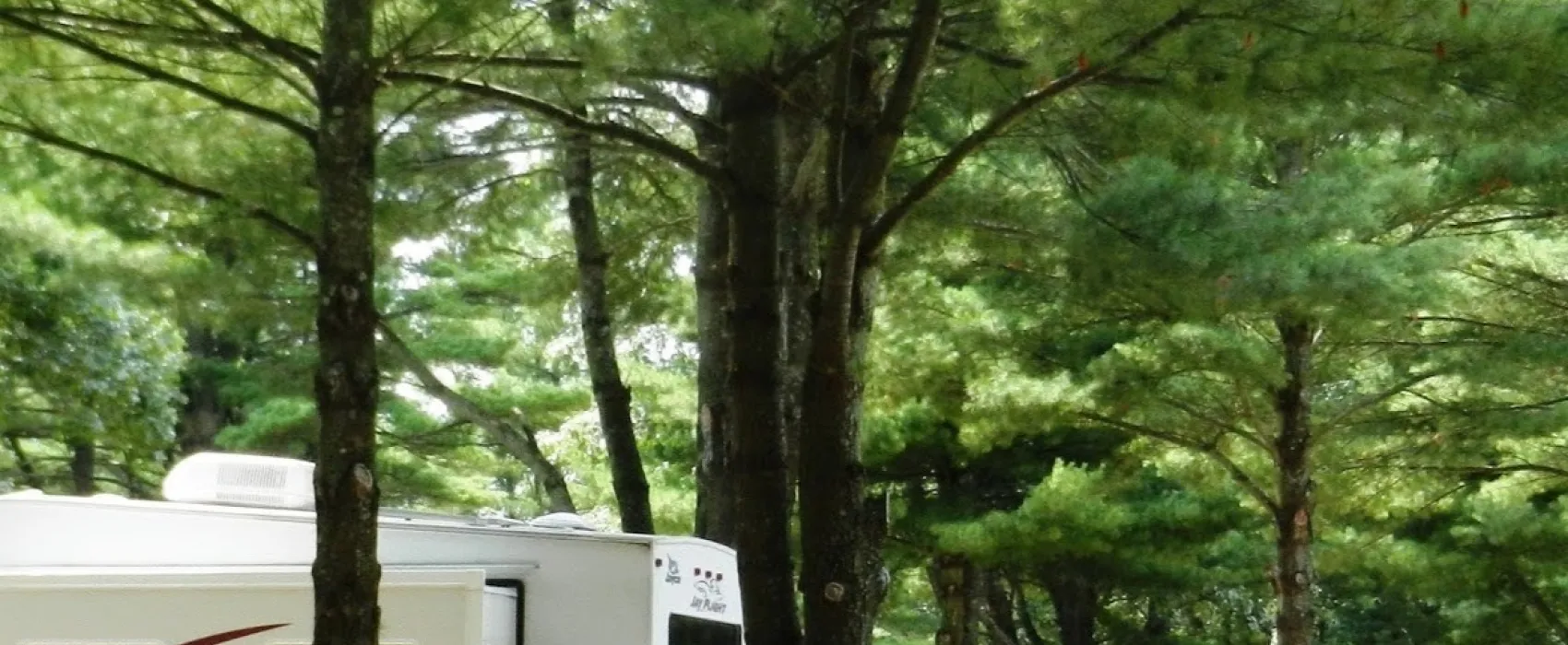 Leisure Time RV Park LLC
