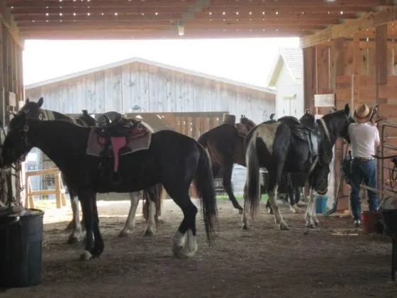 true-west-campground-stables-and-mercantile-llc-jamestown-mt1yq