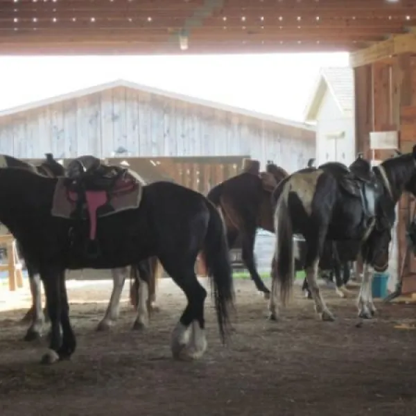 True West Campground, Stables and Mercantile, LLC