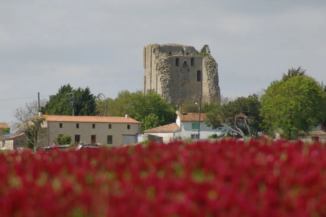 le-valerick-st-sornin-charente-maritime-3fyw1