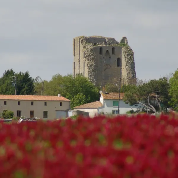 le-valerick-st-sornin-charente-maritime-3fyw1