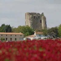 le-valerick-st-sornin-charente-maritime-3fyw1