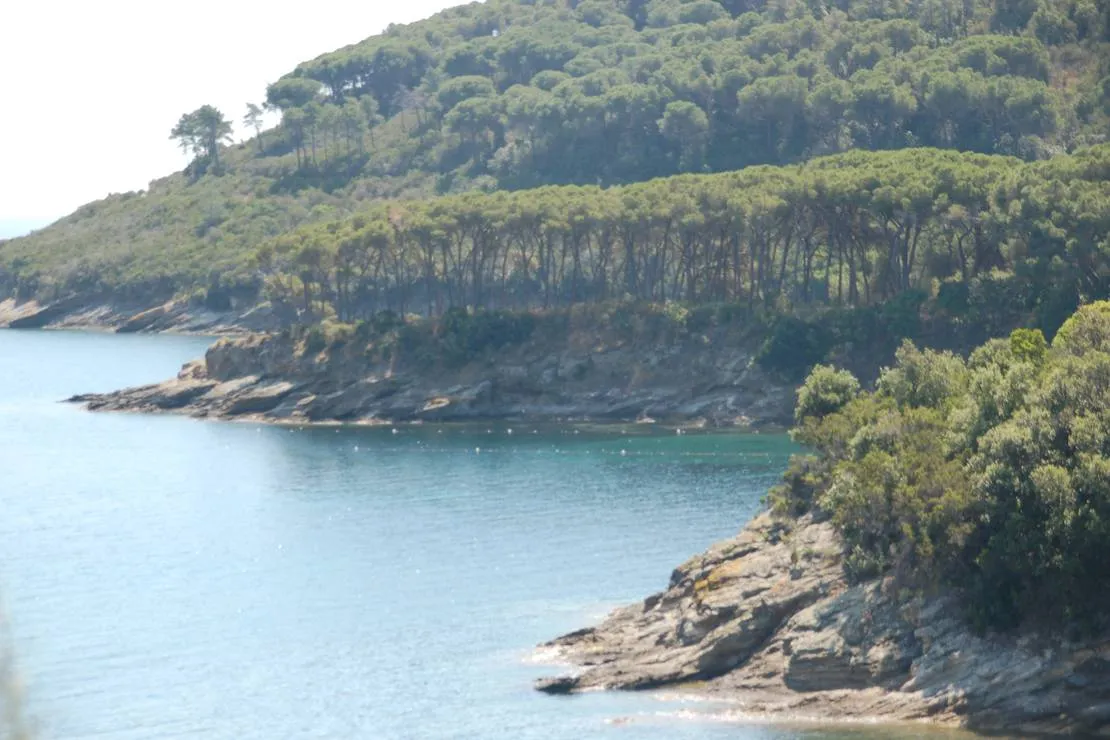 agricampeggio-bioelba-capoliveri-cgcws