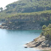 agricampeggio-bioelba-capoliveri-cgcws