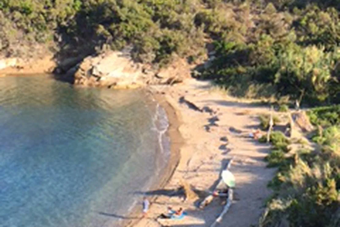 agricampeggio-bioelba-capoliveri-didhy