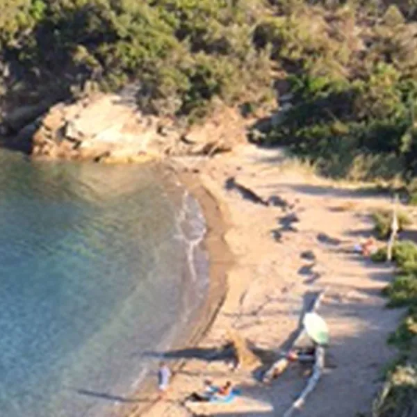 agricampeggio-bioelba-capoliveri-didhy