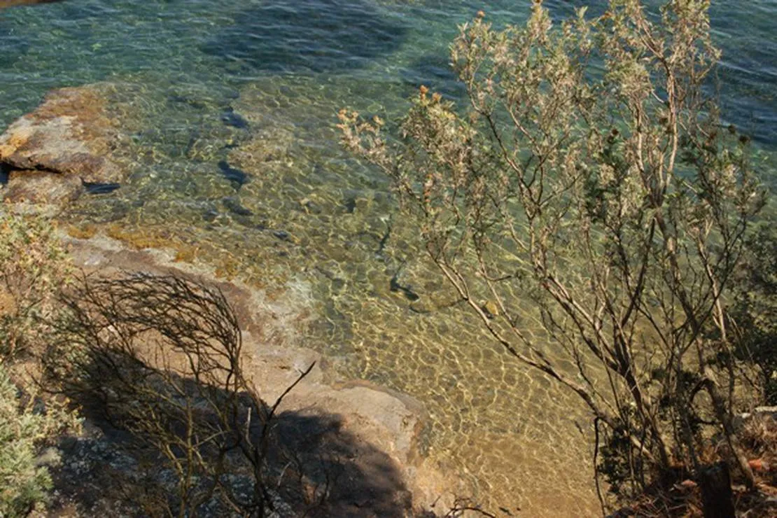 agricampeggio-bioelba-capoliveri-ftmyy