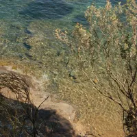 agricampeggio-bioelba-capoliveri-ftmyy