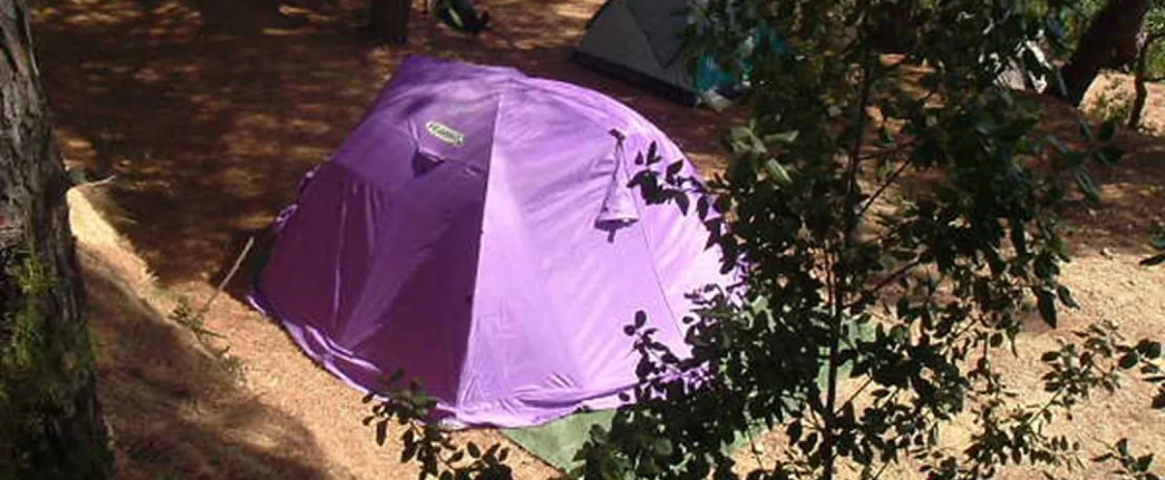 Agricampeggio Bioelba