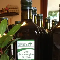 agricampeggio-bioelba-capoliveri-ocpyz