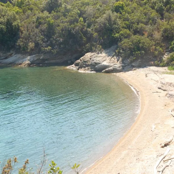 agricampeggio-bioelba-capoliveri-pylyn