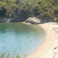 agricampeggio-bioelba-capoliveri-pylyn