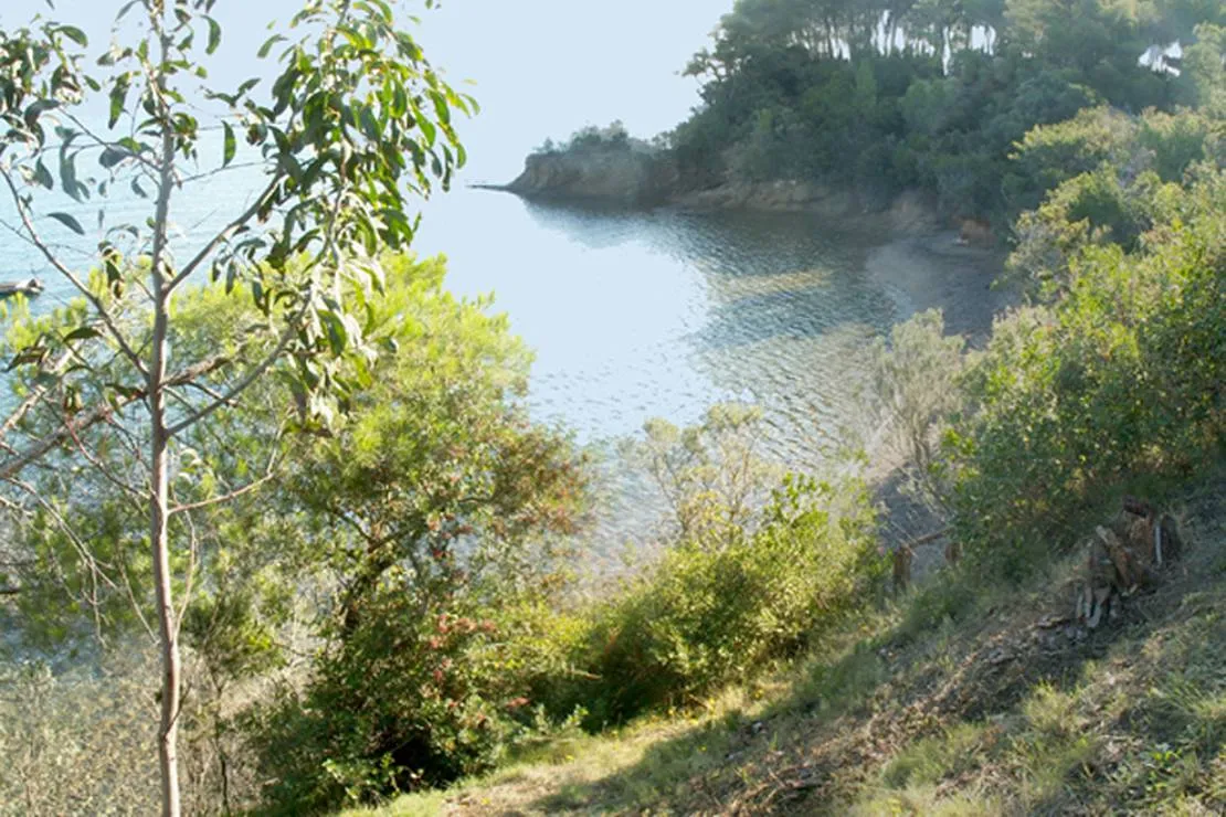 agricampeggio-bioelba-capoliveri-zzn8e