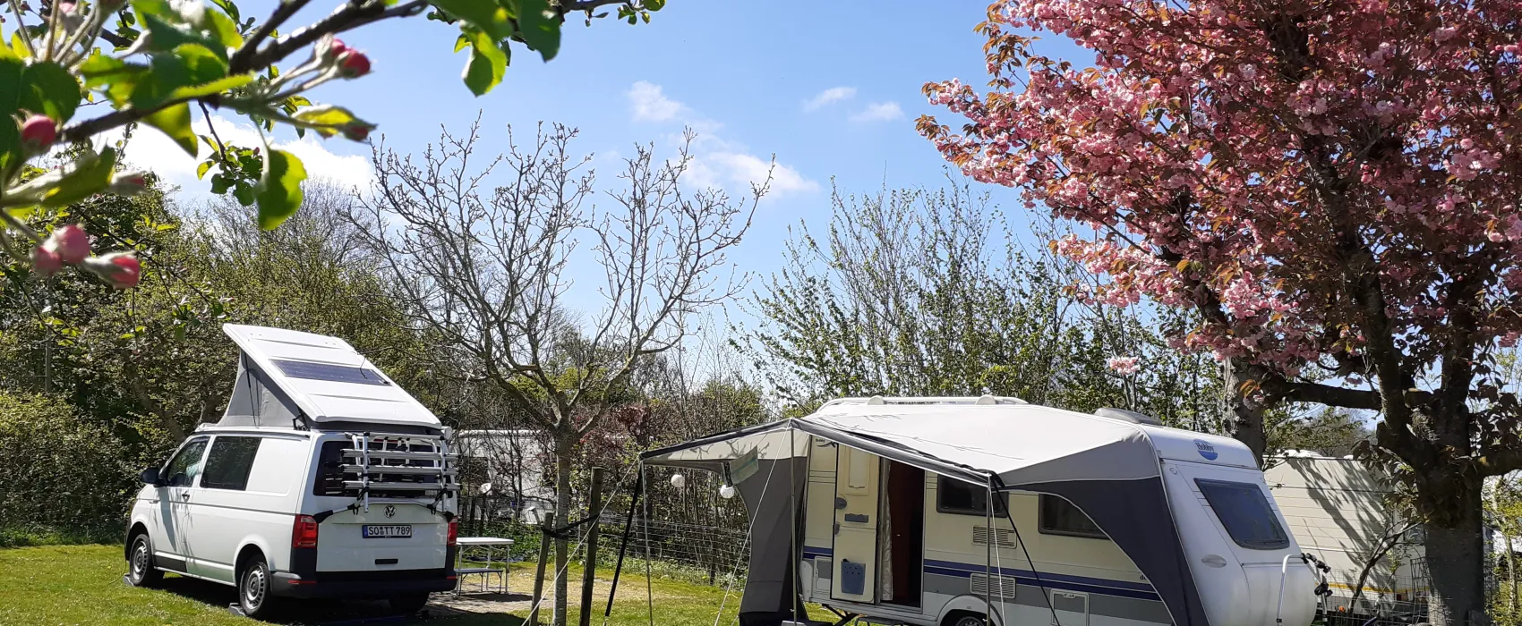 Minicamping De Tien Morgen