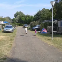 ile-doffard-saumur-maine-et-loire-ebrzg