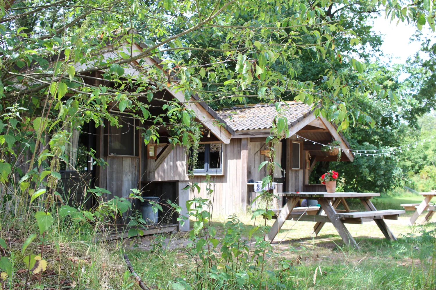 hartje-groen-schaijk-texpb
