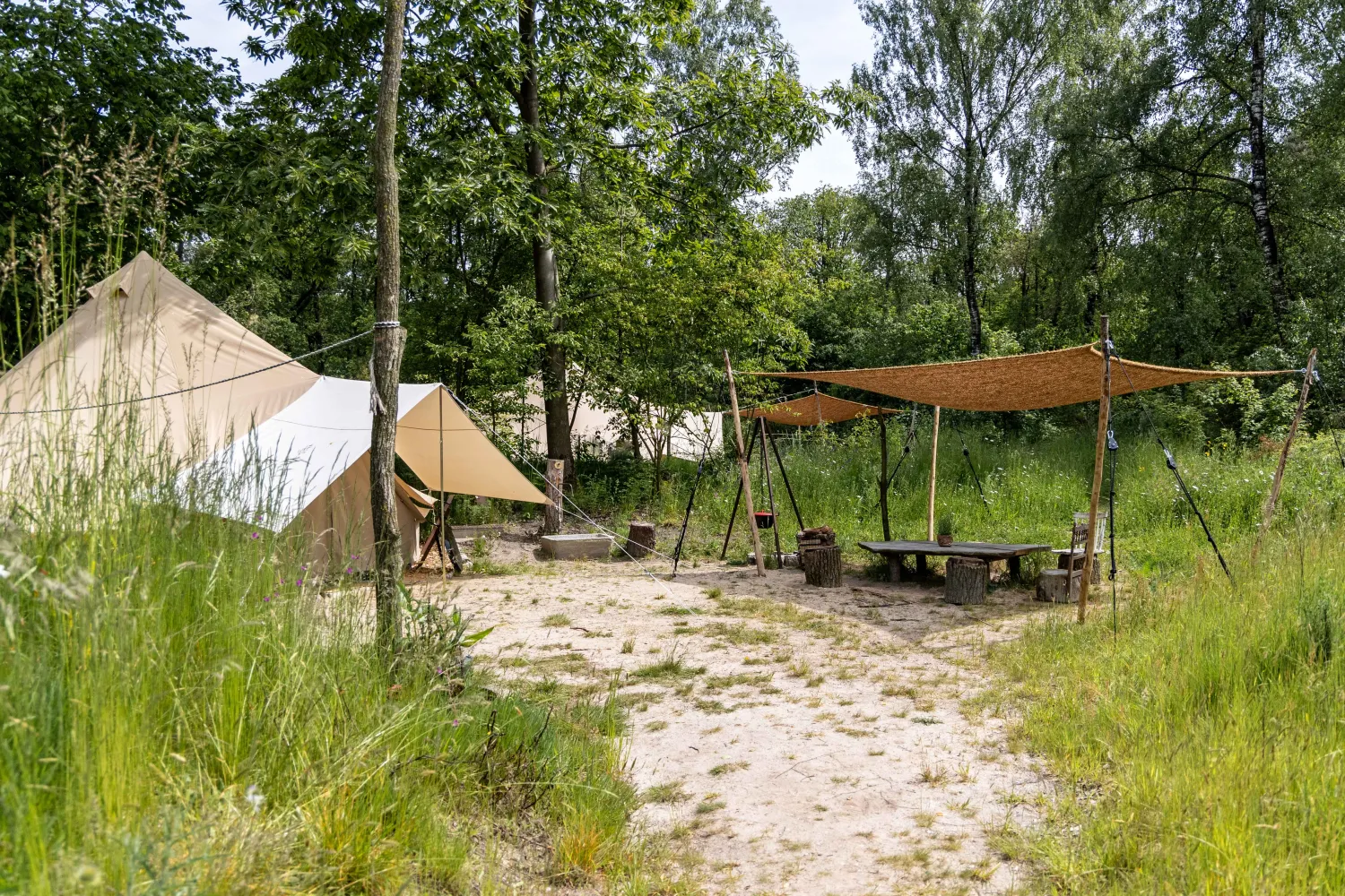 hartje-groen-schaijk-uzieo