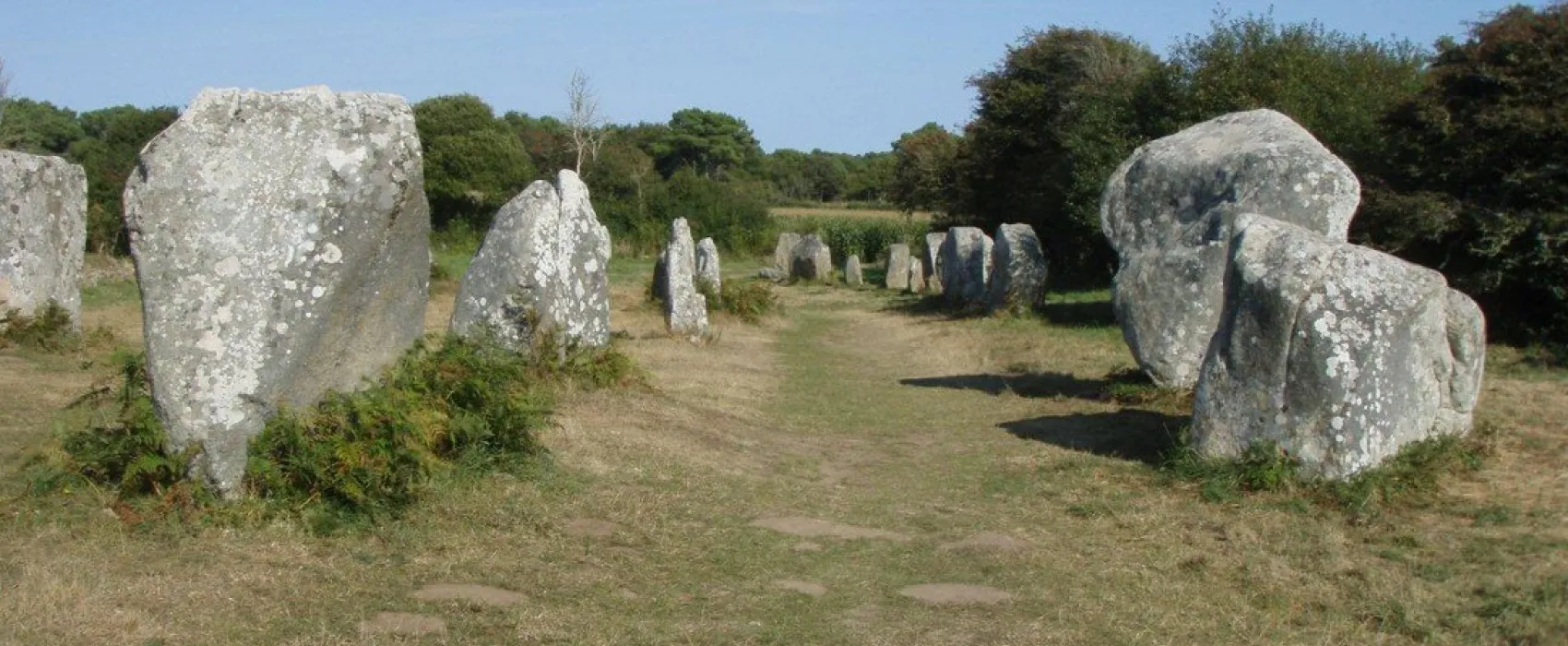 Les Bruyères