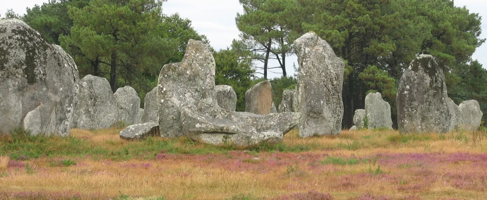Les Bruyères