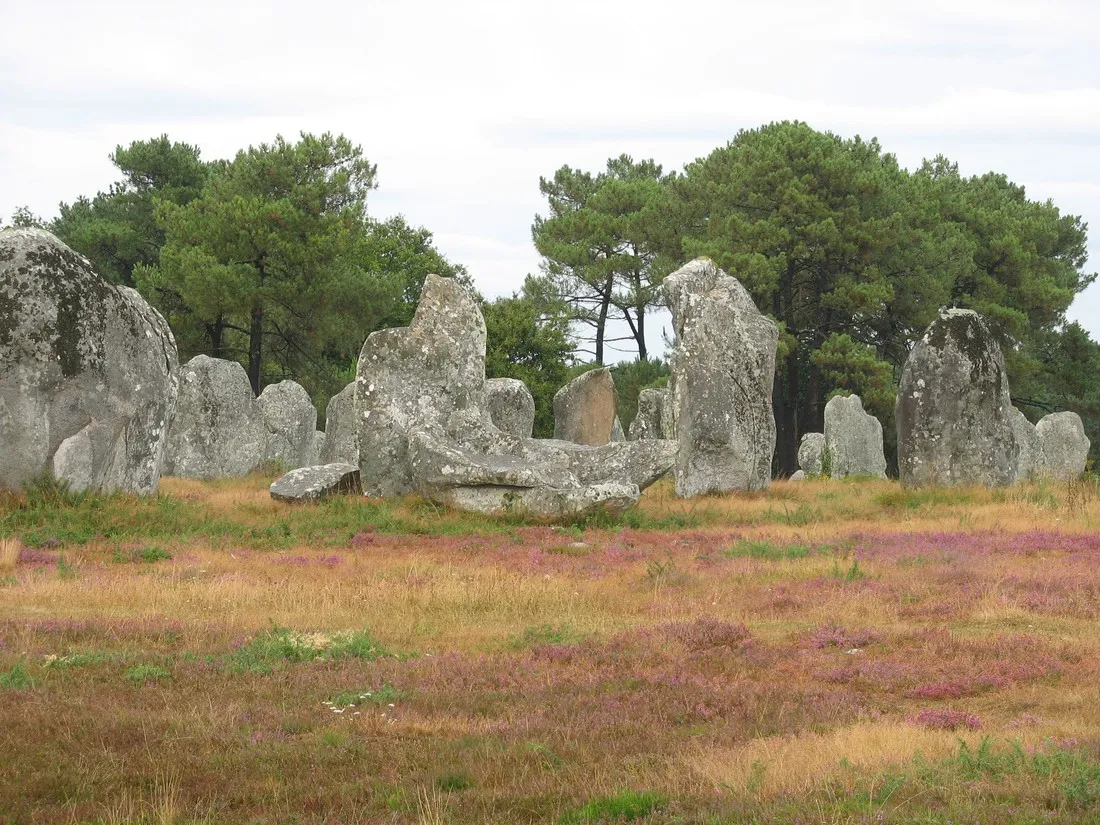 les-bruyeres-carnaccarnac-plage-vogq9
