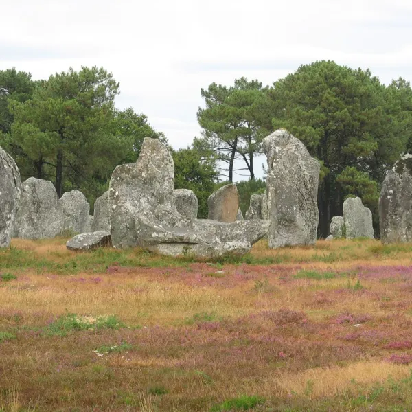 les-bruyeres-carnaccarnac-plage-vogq9