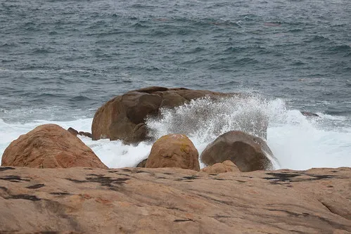 lucky-bay-campground-cape-le-grand-yozei