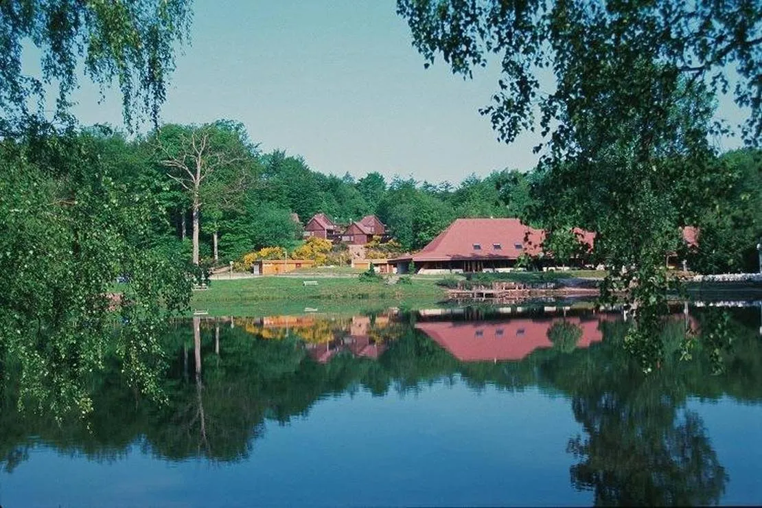 village-les-vosges-du-nord-bitche-uqcvb