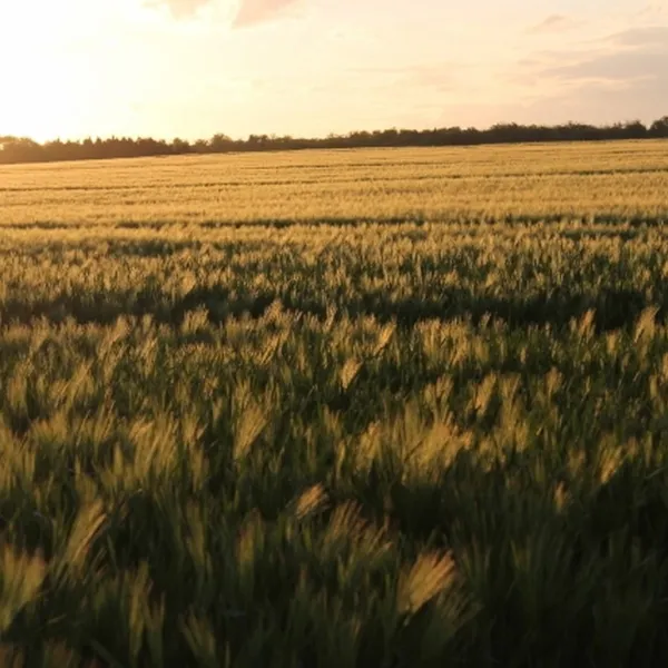 erholungspark-nord-elm-rabke-qtuxj