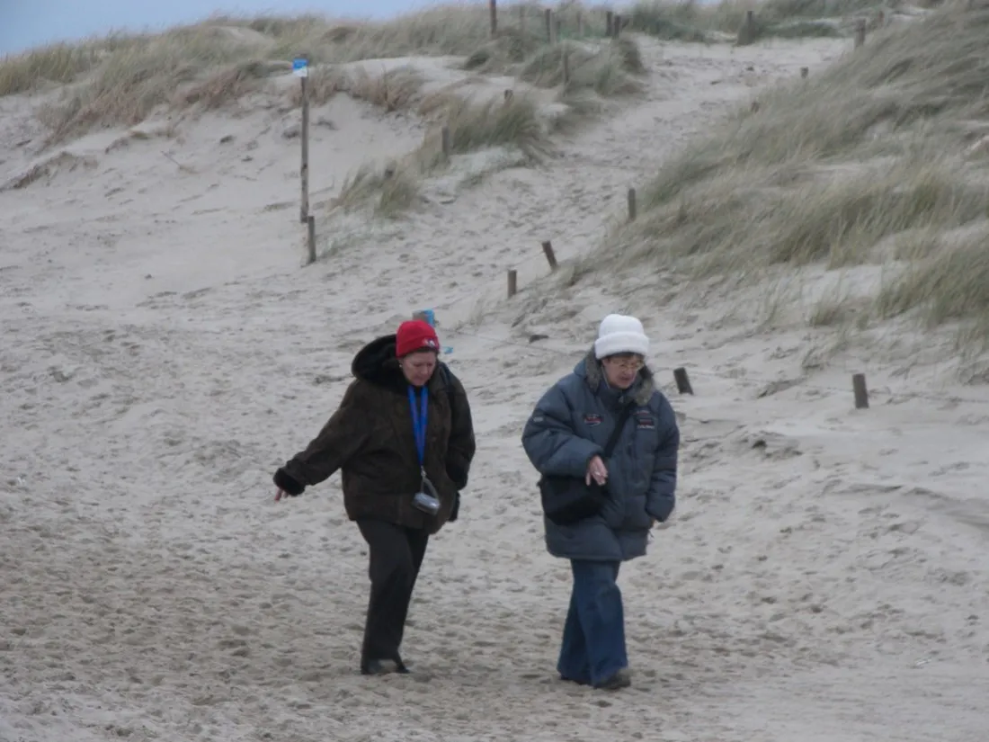 de-koorn-aar-texel-i0piq