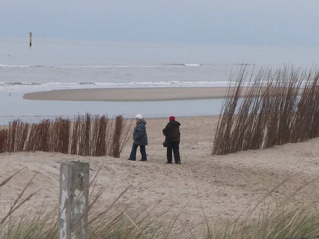 de-koorn-aar-texel-j7kfy