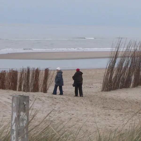 de-koorn-aar-texel-j7kfy