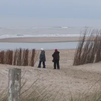 de-koorn-aar-texel-j7kfy