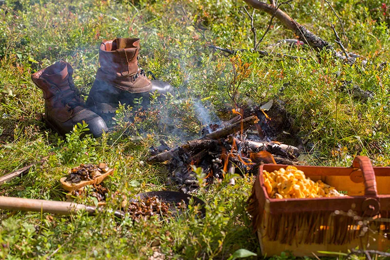 69-grader-nord-camping-borgafjall-dpyty