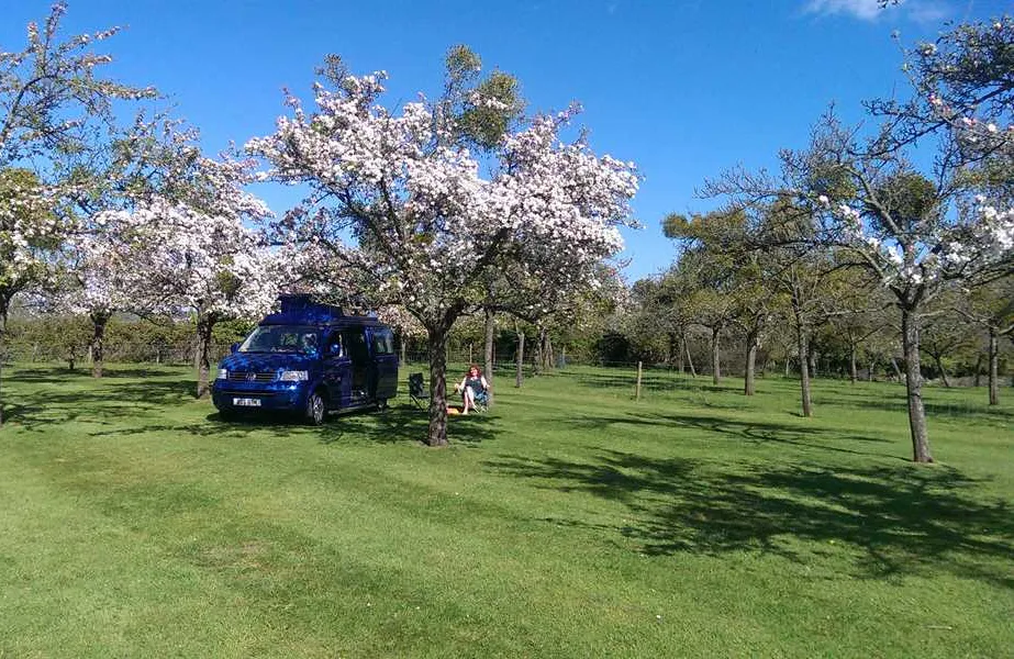 orchard-farm-luxury-glamping-and-campsite-glastonbury-54t9y
