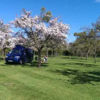 orchard-farm-luxury-glamping-and-campsite-glastonbury-54t9y