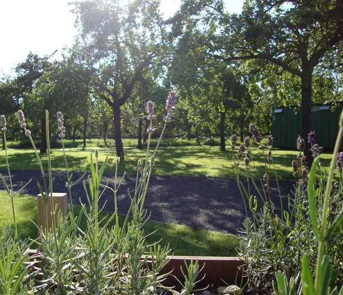 orchard-farm-luxury-glamping-and-campsite-glastonbury-5izvv