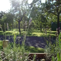 orchard-farm-luxury-glamping-and-campsite-glastonbury-5izvv