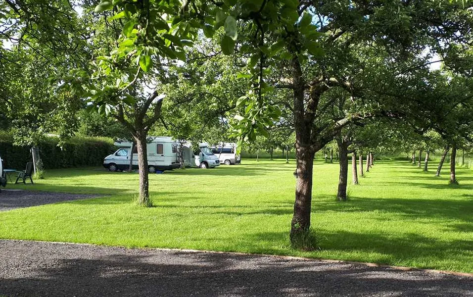 orchard-farm-luxury-glamping-and-campsite-glastonbury-azvxv