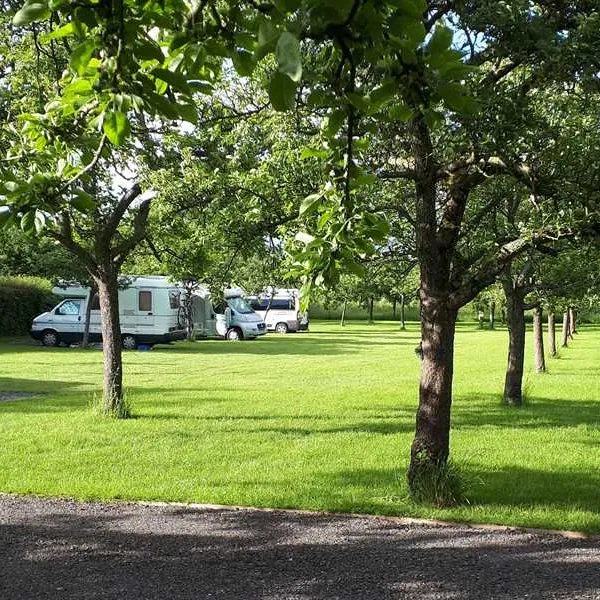 orchard-farm-luxury-glamping-and-campsite-glastonbury-azvxv