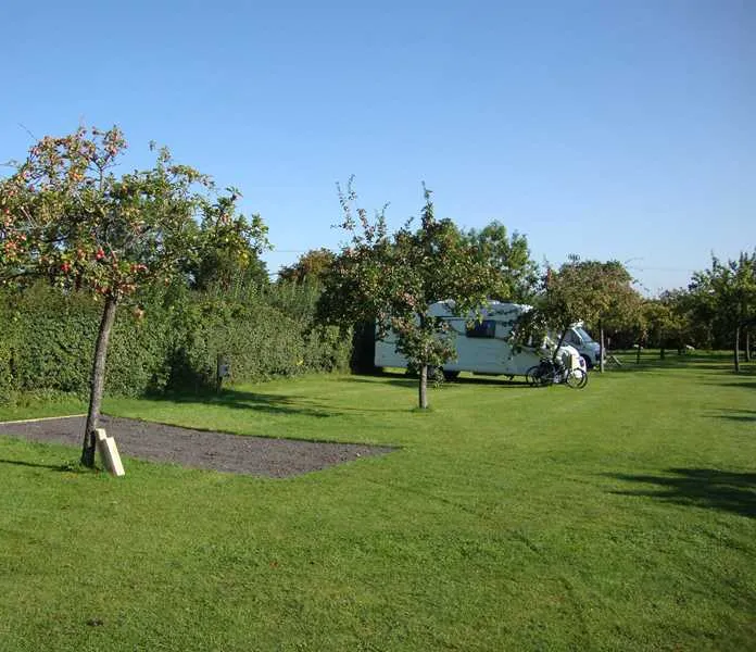 orchard-farm-luxury-glamping-and-campsite-glastonbury-em8pp