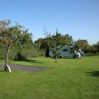 orchard-farm-luxury-glamping-and-campsite-glastonbury-em8pp