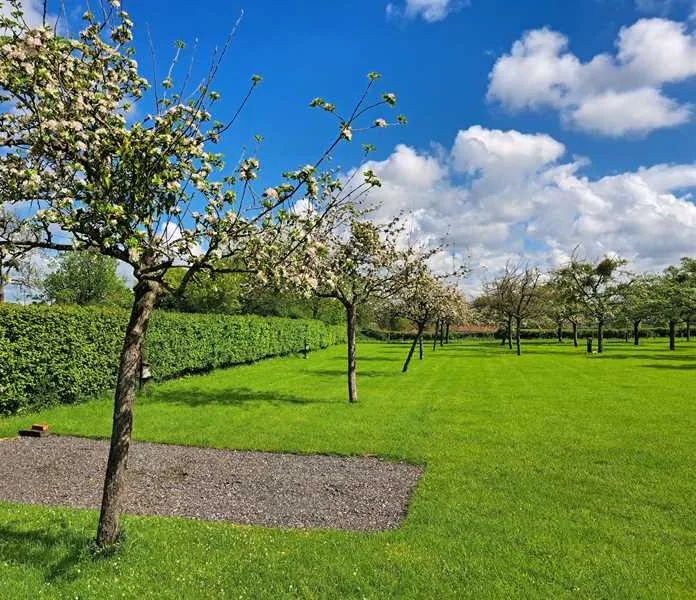 orchard-farm-luxury-glamping-and-campsite-glastonbury-hfw5n
