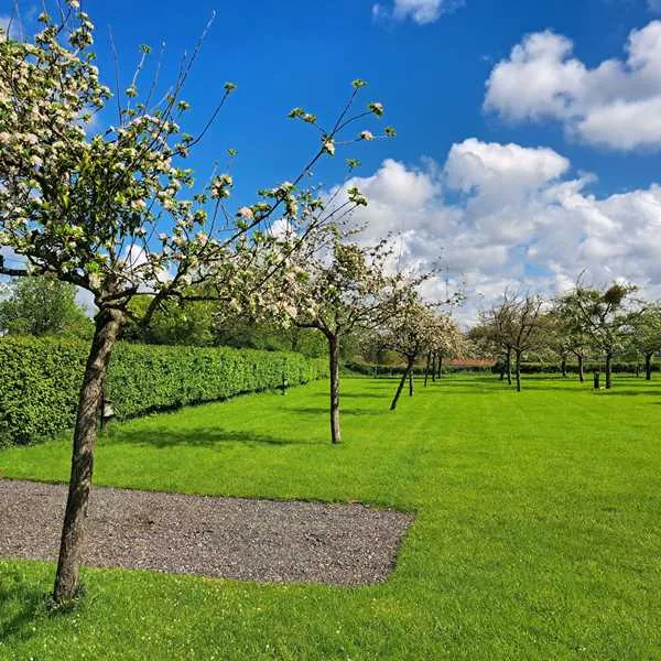 orchard-farm-luxury-glamping-and-campsite-glastonbury-hfw5n